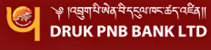 Druk PNB Bank logo